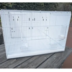 Cage d’élevage oiseaux pliable et démontable 60 cm Taormina - 2GR