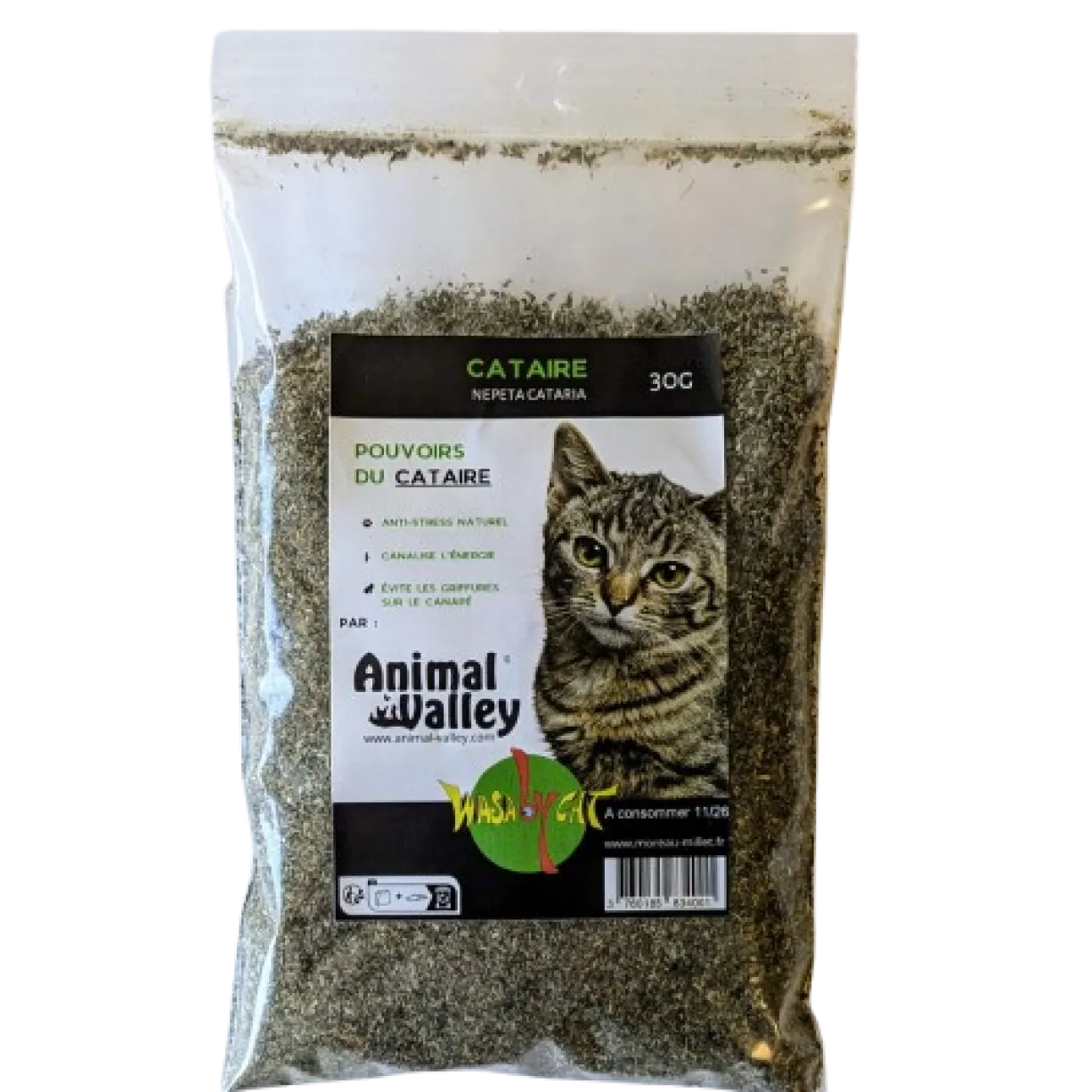 Cataire broyée pour chat sachet 30g - WasaByCat