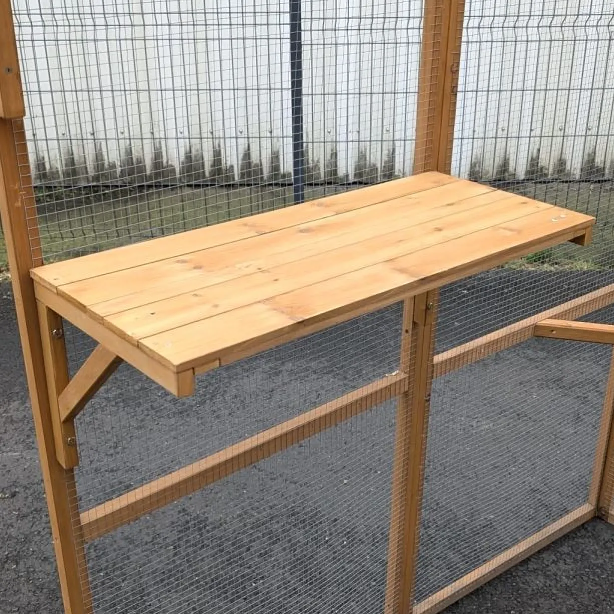 Catio équipé chat 300x143x173,5cm