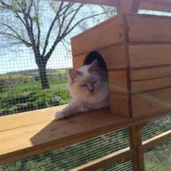 Catio équipé chat 300x143x173,5cm