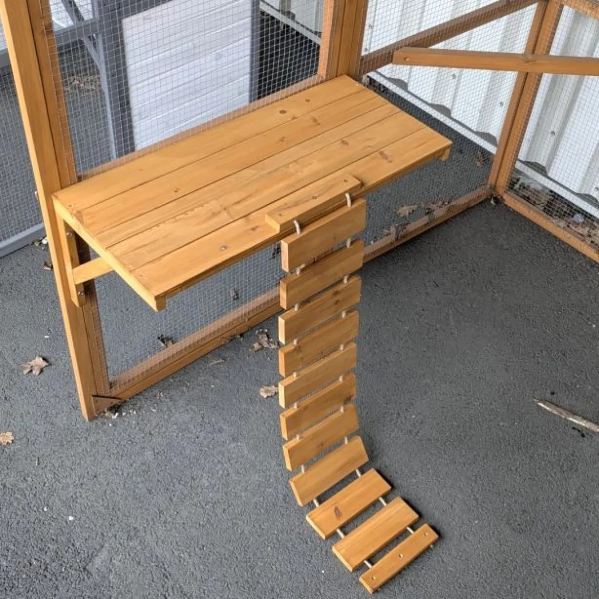 Catio équipé chat 300x143x173,5cm