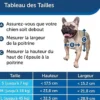 Chatière porte chat petit chien 2 positions Staywell blanche taille S - PetSafe