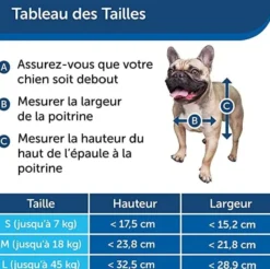 Chatière porte chat petit chien 2 positions Staywell blanche taille S - PetSafe