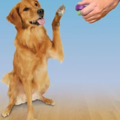 Clicker de dressage pour chien Click-R - PetSafe