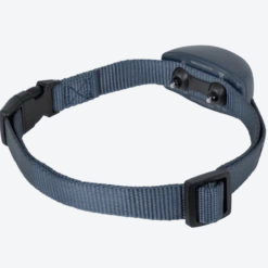 Collier anti aboiement chien à stimulations électrostatiques à pile PBC19-16636 - PetSafe