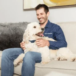 Collier anti-aboiement sonore-rechargeable - PetSafe