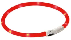 Collier à LED chien Maxi Safe 55cm rouge - Kerbl
