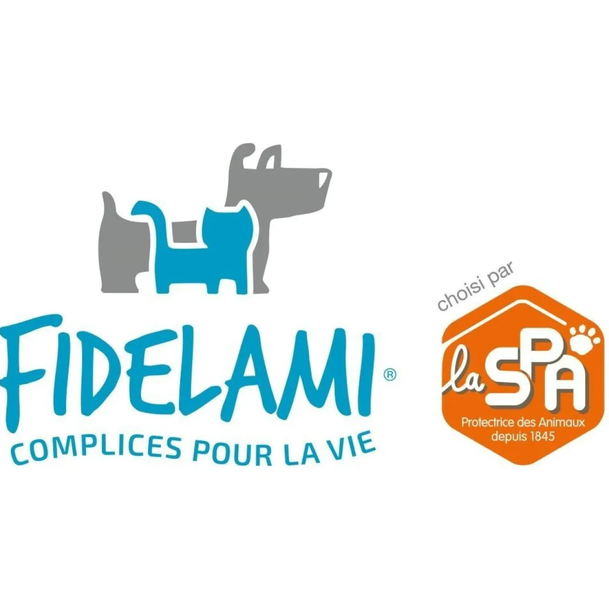 Collier motif réfléchissant chien taille L - Fidelami