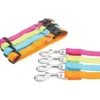 Collier nylon réglable 40mm - Turquoise