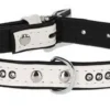 Collier pour chien Diamond blanc, 14 mm / 23 - 28 cm