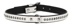 Collier pour chien Diamond blanc, 14 mm / 23 - 28 cm