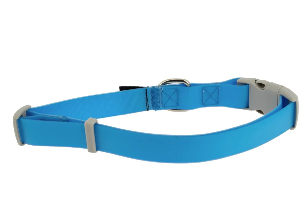 Collier étanche chien Aqua taille L - Fidelami