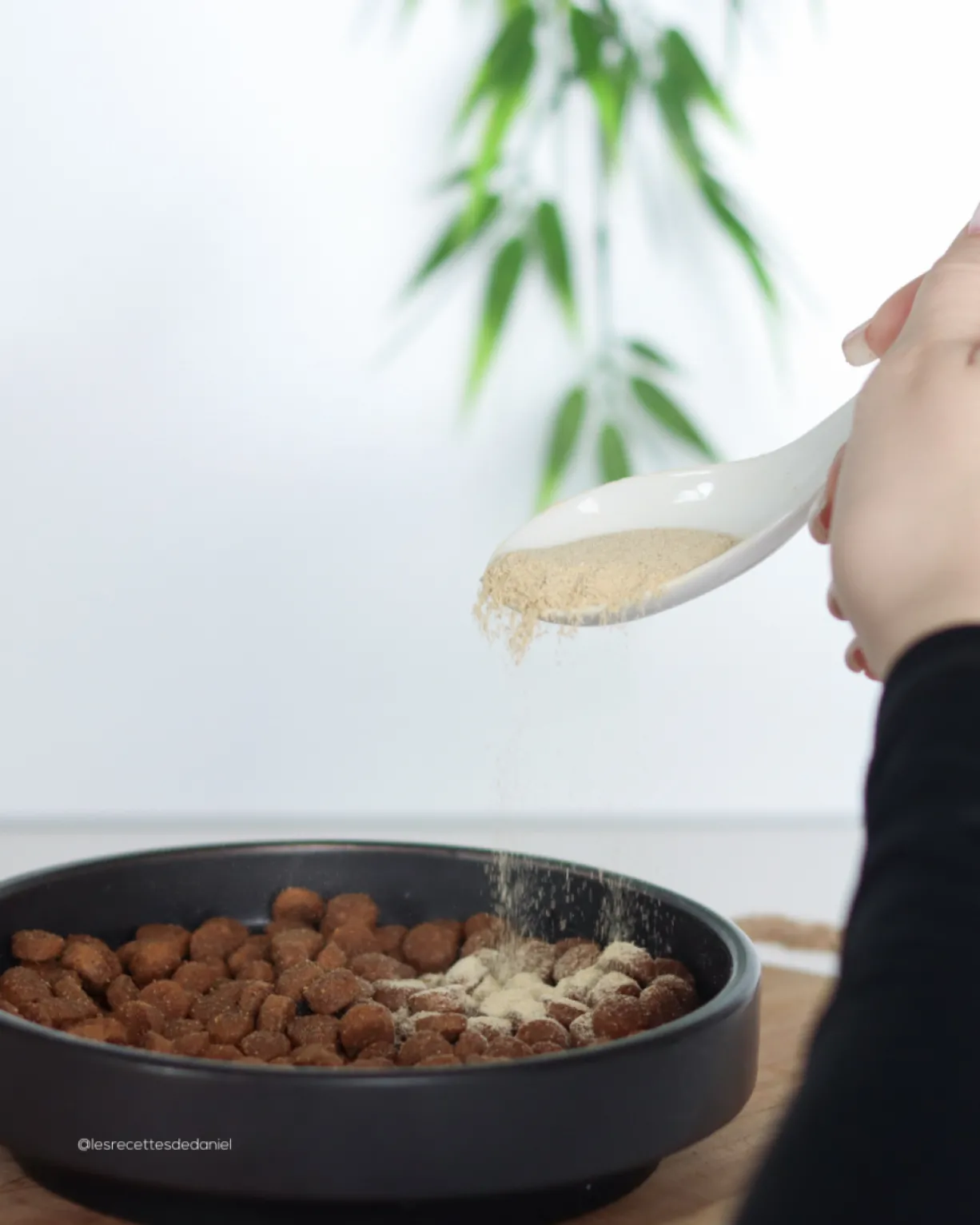 Complément alimentaire chien et chat Moule Verte 400g - Les recettes de Daniel