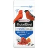 Complément alimentaire pour oiseaux NutriBird Treats Gold Patee Red Fusion 250g - Versele Laga
