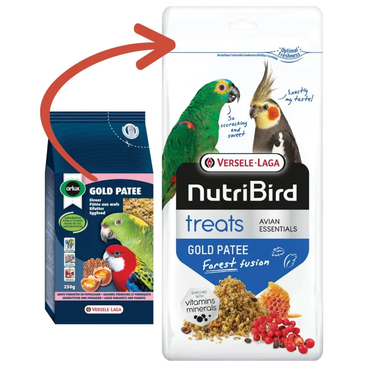 Complément alimentaire pour oiseaux NutriBird Treats Gold Patee Forest Fusion 250g - Versele Laga