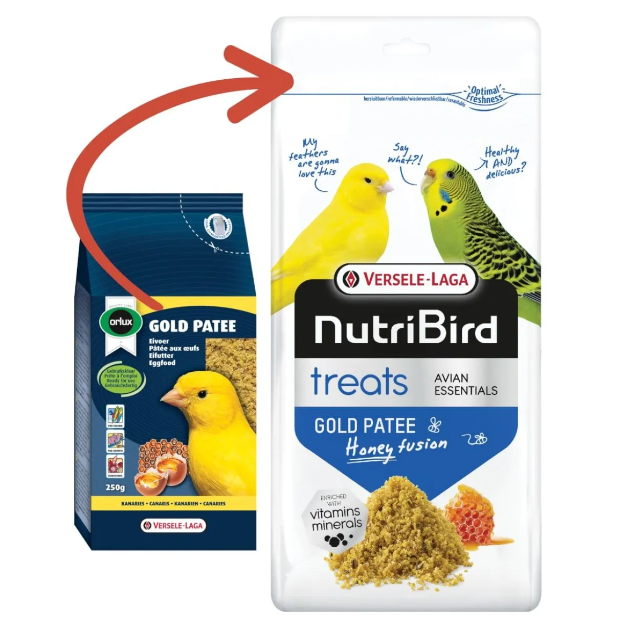 Complément alimentaire pour oiseaux NutriBird Treats Gold Patee Honey Fusion 250g - Versele Laga