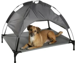 Couchette pour chien 