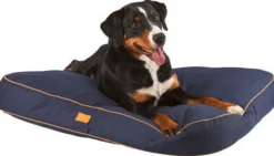 Coussin Jerome, navy/cognac, 80 x 60 x 6 cm