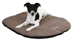 Coussin pour chien Traveller 85 x 65 x 3 cm – Kerbl