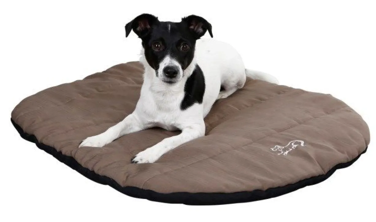 Coussin pour chien Traveller 85 x 65 x 3 cm – Kerbl