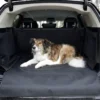 Couverture de protection pour voiture Economy 170 x 100 cm - Kerbl