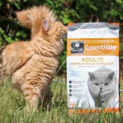 Croquettes chat Essentielle Adulte Premium poulet 3kg - Les recettes de Daniel