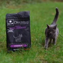 Croquettes chat Originelle Chaton Premium poulet 2,5kg - Les recettes de Daniel