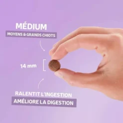 Croquettes chien Essentielle Croissance médium à la volaille 15kg - Les recettes de Daniel