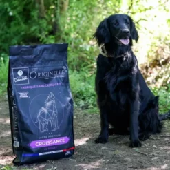Croquettes chien Originelle Croissance Medium au poulet sans céréales 12kg - Les recettes de Daniel