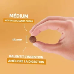 Croquettes chien Originelle Adulte Medium au poulet sans céréales 400g - Les recettes de Daniel