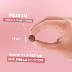 Croquettes chien Traditionnelle Adulte Medium au saumon 14kg - Les recettes de Daniel