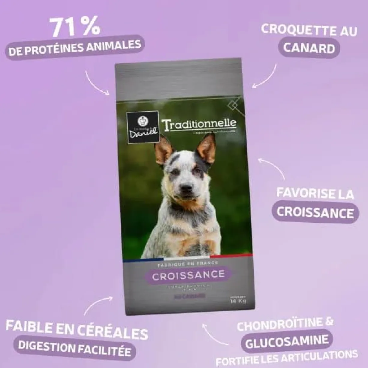 Croquettes chien Traditionnelle Croissance Medium au canard 14kg - Les recettes de Daniel