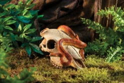 Décor Crane bison pour terrarium reptile PT2857 - Exo Terra