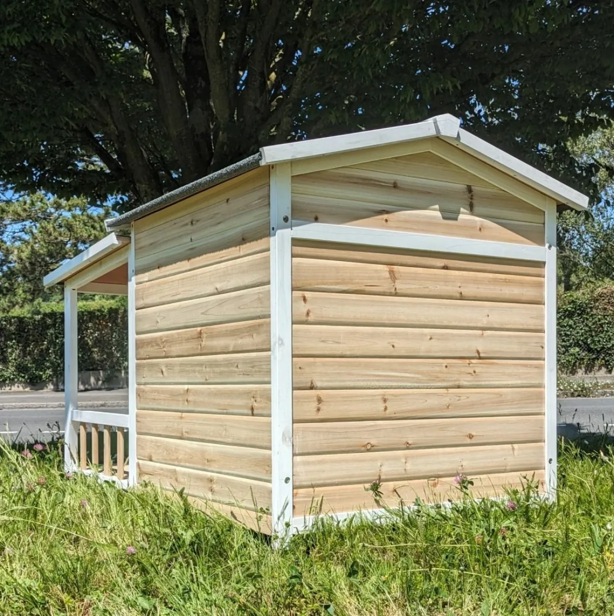 Edition Limitée - Niche Berger Australien pour chien Toit Shingle et terrasse Couverte - Creme - Taille L