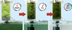 Filtration mécanique haute performance aquarium Crystal Clear Professional - Sera