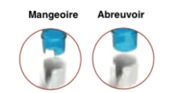 Fontaine à Eau Secondino 30 ml