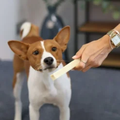 Friandise chien fromage séché nature taille S - Les recettes de Daniel