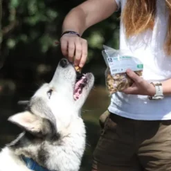 Friandise chien viande de poulet séchée 200g - Les recettes de Daniel