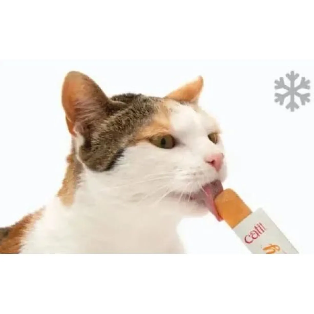 Friandise à lécher chat Creamy 10g poulet et agneau - Catit
