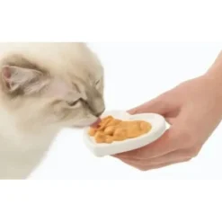 Friandise à lécher chat Creamy 10g poulet et agneau - Catit