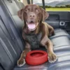 Gamelle pour chiens de voyage anti-débordement Rouge 0,7L – Kurgo
