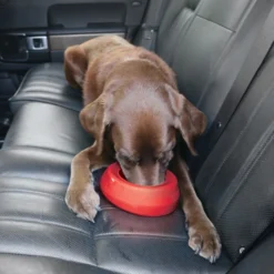 Gamelle pour chiens de voyage anti-débordement Rouge 0,7L – Kurgo