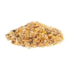 Gra-Mix mélange pour Poules d'Ardennes 20 kg - Versele Laga