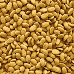 Granulés extrudés pour perroquet monocouleur NutriBird P15 Original 3kg - Versele Laga