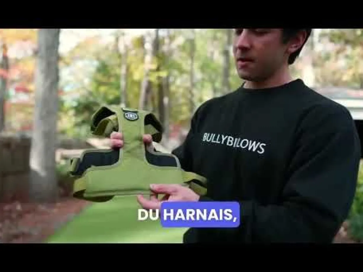 Harnais anti traction chien Hurricane vert olive taille M - BullyBillows