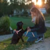 Harnais norvégien chien réfléchissant 60/75cm - Kerbl