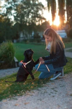 Harnais norvégien chien réfléchissant 65/85cm - Kerbl