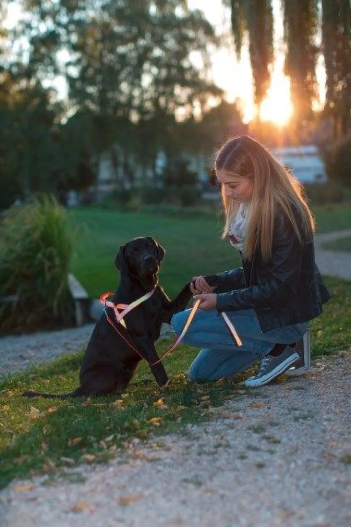 Harnais norvégien chien réfléchissant 70/90cm - Kerbl