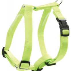 Harnais Nylon Réglable 25mm - Anis