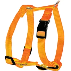 Harnais Nylon Réglable 20mm - Orange